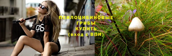 СК Абдулино