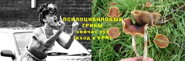 прущие крисы Абинск