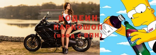 прущие крисы Абаза